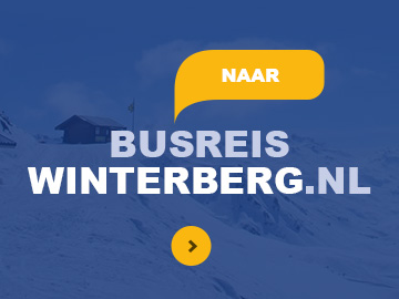 Busreiswinterberg